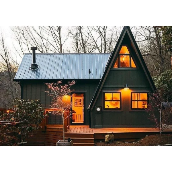 Luxury Design Prefabricated Competitive Light Steel House